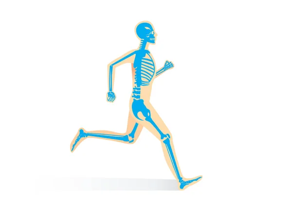 Anatomia delle ossa umane durante la corsa — Vettoriale Stock