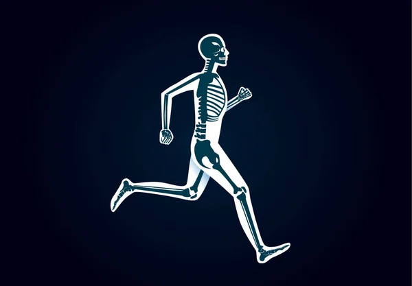 Анатомия костей человека во время бега — стоковый вектор