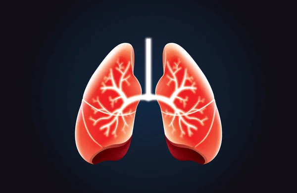 Lung vector red color on black. — Stock Vector