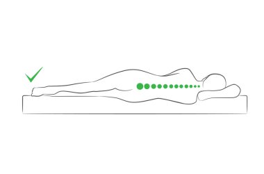 The correct spine alignment when sleeping. vector The correct spine alignment when sleeping. vector