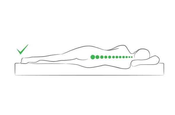 L'alignement correct de la colonne vertébrale pendant le sommeil . — Image vectorielle