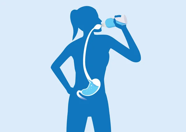 Silueta de la mujer del cuerpo bebiendo agua del flujo de la botella en el estómago . — Vector de stock