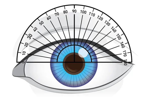 Check angles of blue eye with protractor. — Stock Vector