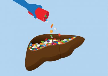 El birçok ilaç insan karaciğer koymak..