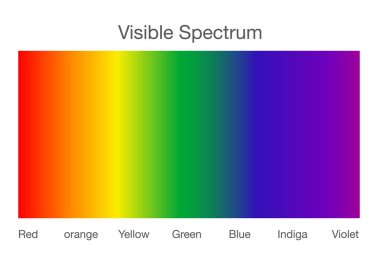 Visible spectrum of light. clipart