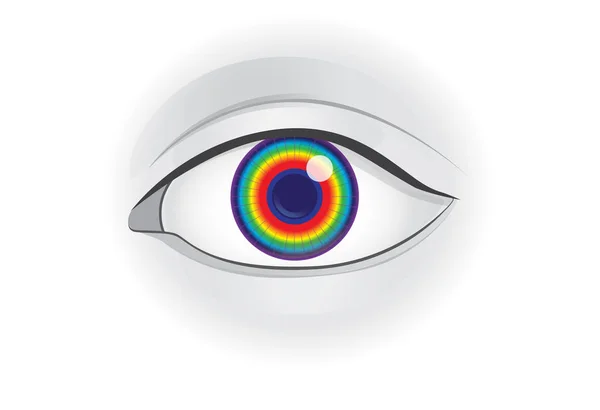 Spectrum light in human eye lens. — Stock Vector