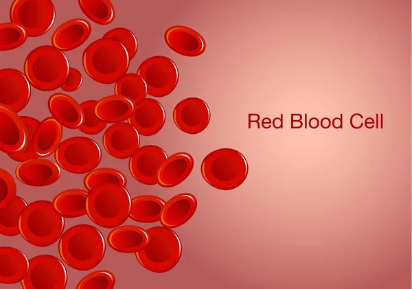 Red blood cells and wording on background. — Stock Vector