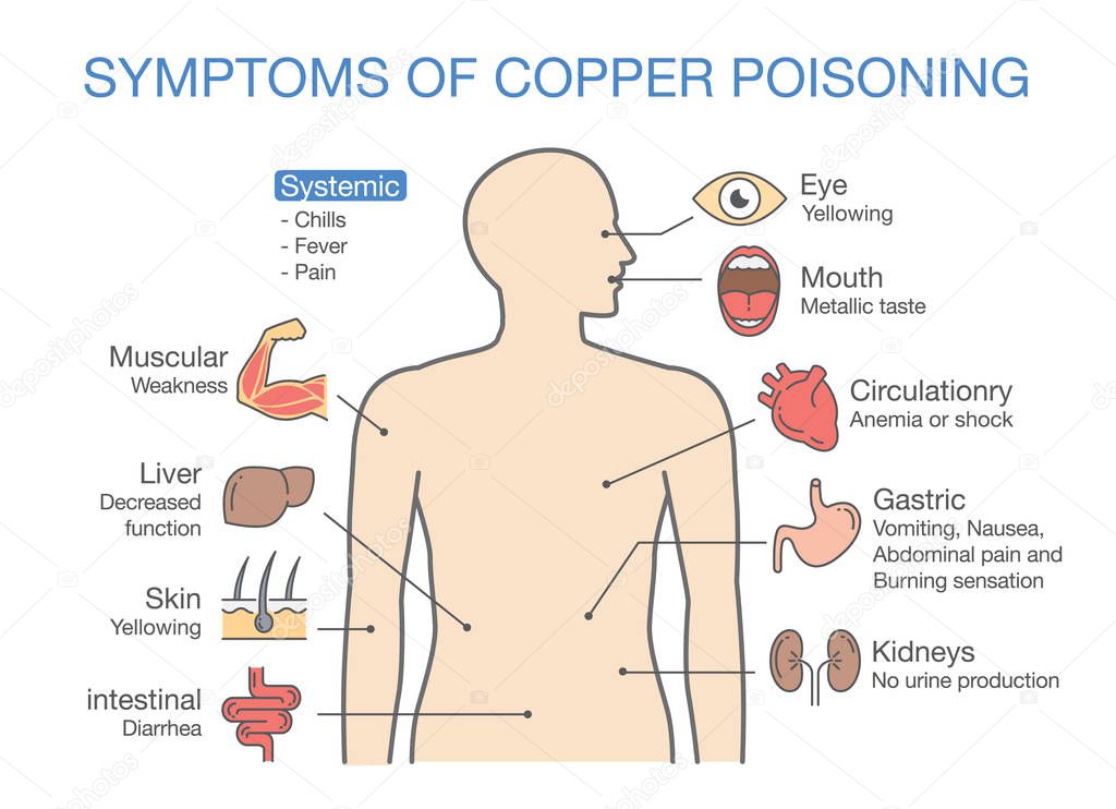 Chart of the Main Symptoms of Copper Poisoning.