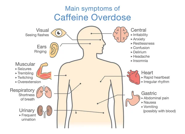 Principais sintomas da sobredosagem com cafeína . —  Vetores de Stock