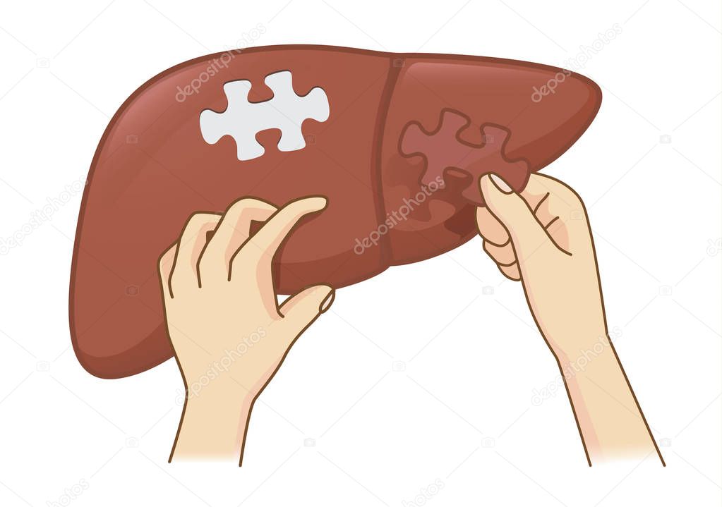 Hand holding last piece of jigsaw puzzle for add on the liver. Medical concept illustration about treatment for danger disease.