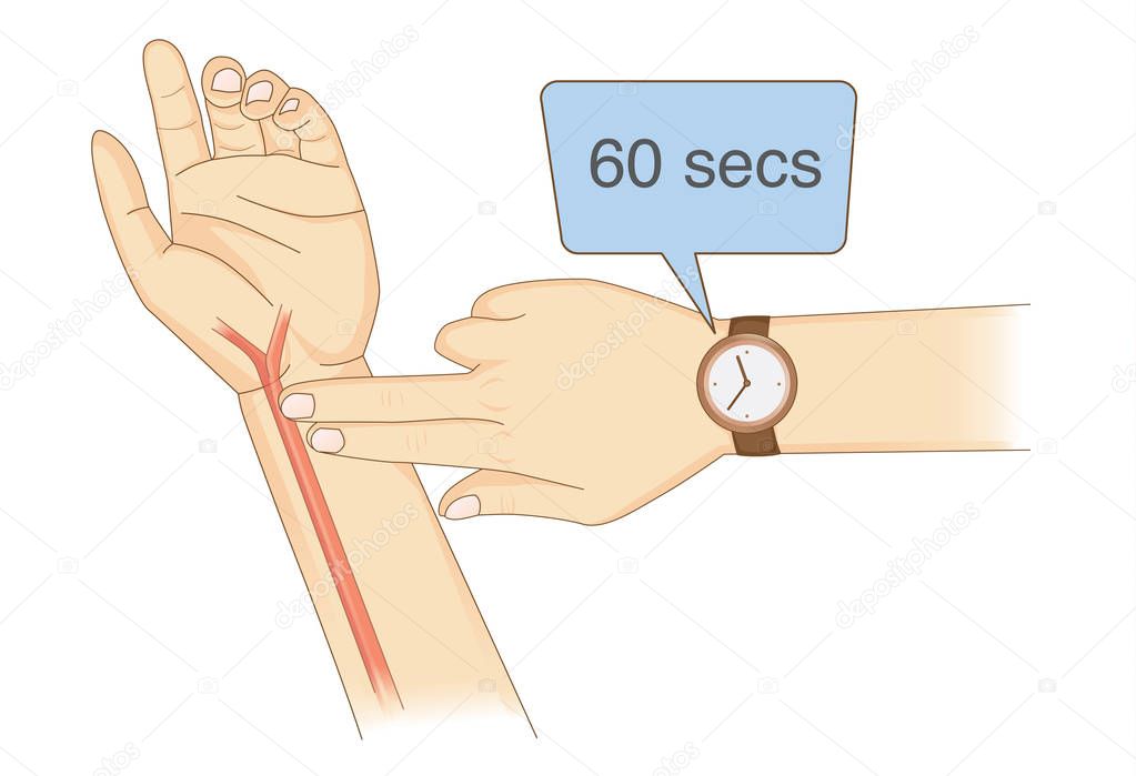 Checking Your Heart Rate Manually with place two fingers and wristwatch. Illustration about health diagnose.