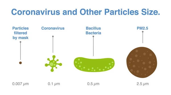 Koronavírus Méretének Más Részecskéknek Összehasonlítása Infografika Vírus Esetében 2019 Ncov — Stock Vector
