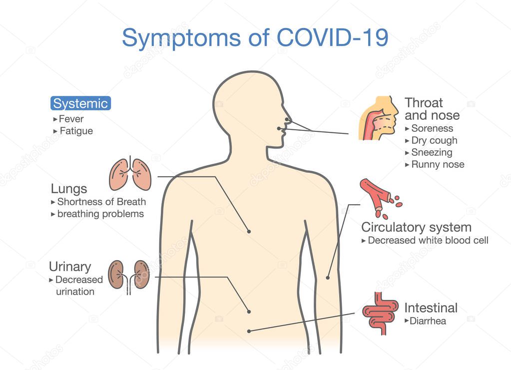 Main symptoms of Covid-2019 or disease from coronavirus. Illustration about diagram for health check up.