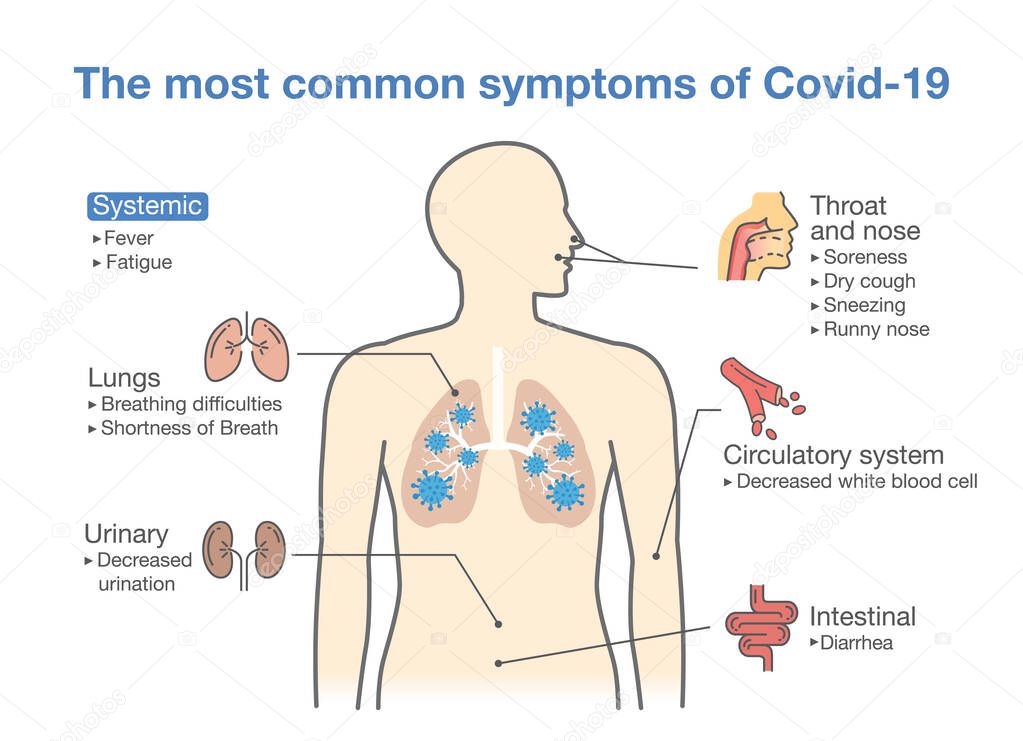 Most common symptoms of Covid-2019 or disease from coronavirus. Illustration about diagram for health check up.