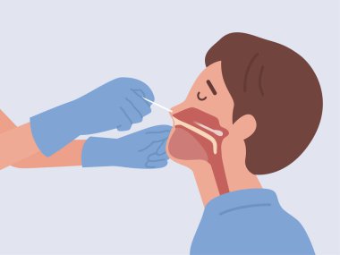 Doktor burun ve ağız arasındaki boşluğa uzun bir pamuk çubuğu sokan burun ve burun sondasıyla İnsanla Covid-19 testi ya da DNA testi yapıyor. Virüs kontrolü hakkında Tıbbi Diyagram.