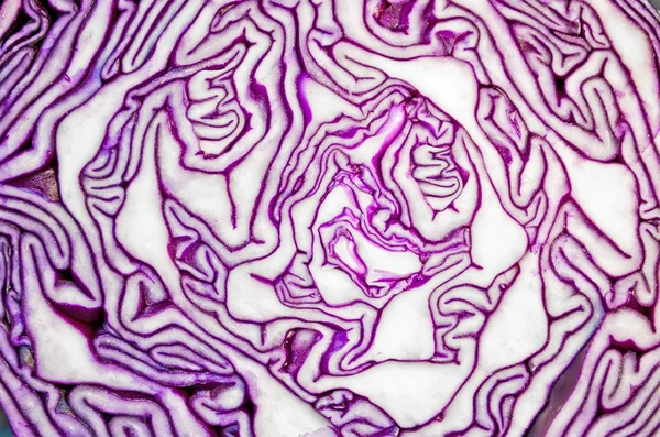 Purple cabbage texture plant fiber stripes pattern — Stock Photo, Image