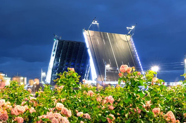 Palais des ponts la nuit à Saint-Pétersbourg et roses en fleurs — Photo