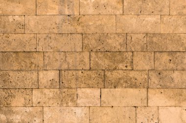 Duvar doku kabuk taş deniz taş blok tuğla