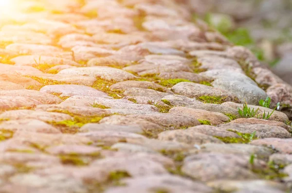石舗装石と草からの道 — ストック写真