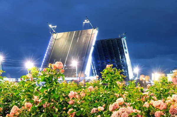 Pont du palais nocturne au premier plan Roses en fleurs et lumières vives Saint-Pétersbourg — Photo