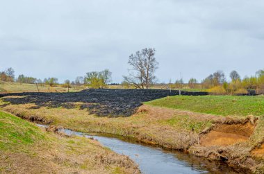 Lanet olası orman yangın çorak çayır orman Köyü yakınındaki nehrin kıyısında.