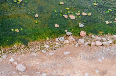 Kum ve taş su ve deniz yosunu ile yeşil zümrüt su ile bir plaj Üstten Görünüm.