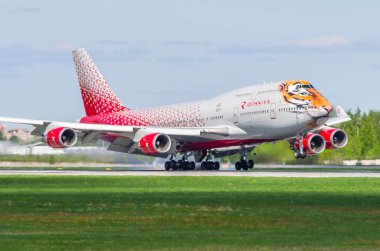 Boeing 747 Rossiya Havayolları kaplan uçuş, Havaalanı Pulkovo, Rusya Saint-Petersburg Mayıs 2017.