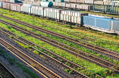 Demiryolu marshalling bahçede çim, yük arabalar.