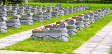 Mezar mezarlık çimen ve çevrelerindeki yolları.