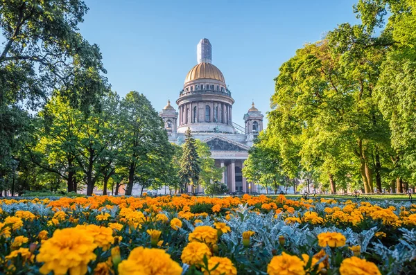 Cattedrale di Sant'Isacco a San Pietroburgo, fiori in primo piano . — Foto Stock