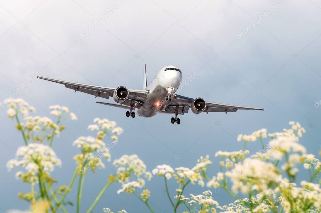 Passenger commercial airplane flies over flower fields at the airport.