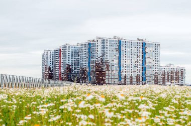 Çok katlı evler papatya çiçeği. Rusya, Saint-Petersburg Temmuz 2017