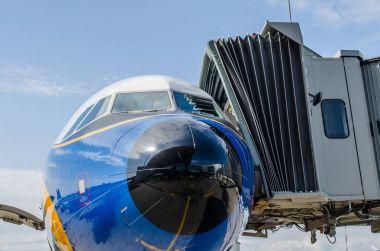 Airbus A321 retro üniforma Lufthansa. Rusya. Saint-Petersburg. 10 Ağustos 2017