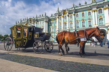 Horses with a carriage on the Palace Square. Russia, Saint-Petersburg. August 17, 2017 clipart