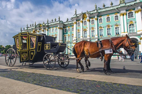 Cavalli con carrozza sulla Piazza del Palazzo. Russia, San Pietroburgo. agosto 17, 2017 — Foto Stock