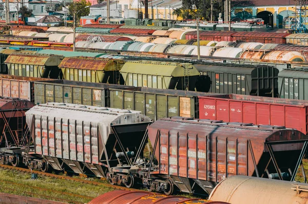 Kargo tren araba arabalar platformu konteyner ile — Stok fotoğraf