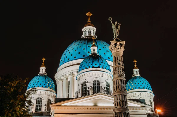 Night View Domes Stars Troitsky Cathedral Saint Petersburg — Stock Photo, Image