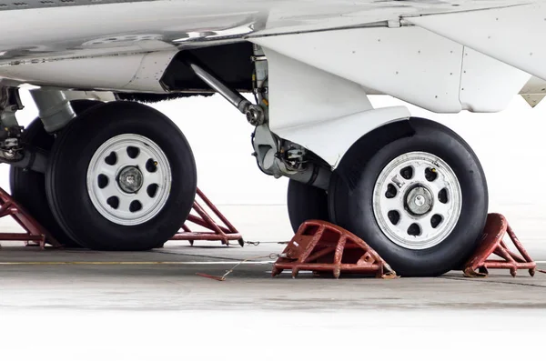 Landing gear rubber, tire under the wing of the aircraft. — Stock Photo, Image