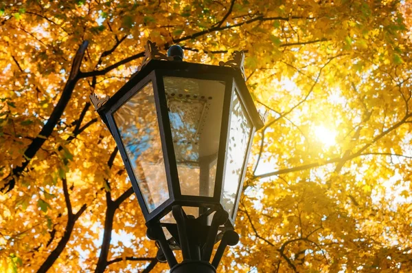 Sarı sonbahar arasında sokak fener sonbahar yaprakları.