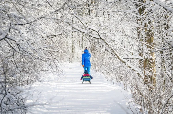 Mom and child on a sledge on a winter path in a snowy forest. — Stock Photo, Image