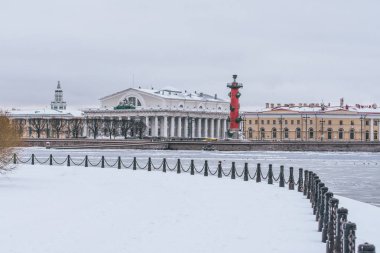 Oklar Vasilievsky Island of soğuk bir kış gününde. Saint-Petersburg, Rusya Federasyonu.