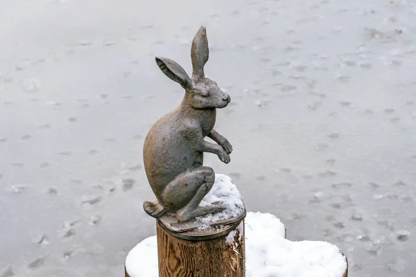 Hare on the river across the bridge on the way to the Peter and Paul Fortress. — Stock Photo, Image