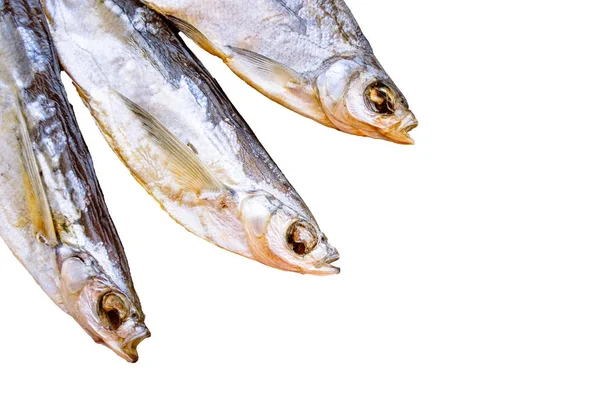 Three dried fish Osmeridae isolated on white background. — Stock Photo, Image