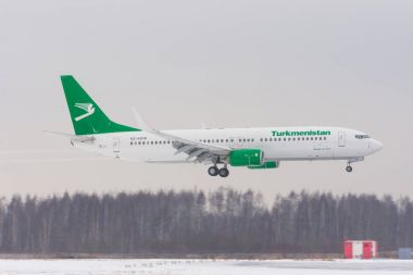 Boeing 737-800 Türkmenistan Havayolları havaalanı Pulkovo, Rusya Saint-Petersburg. 04 Şubat. 2018.