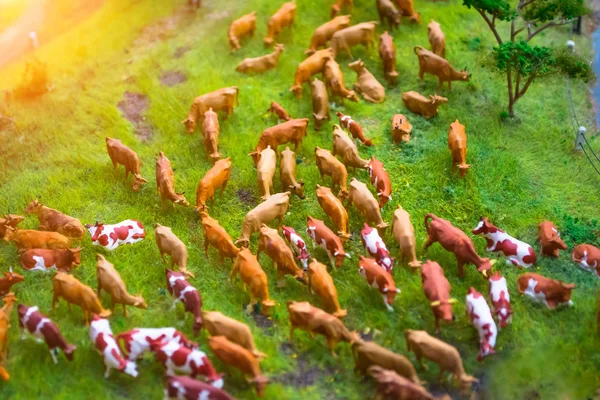 Herd of cows miniature toys on a meadow farming landscape, top view.