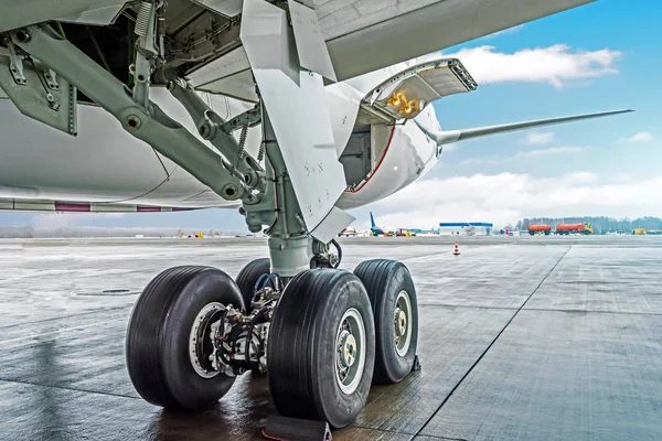 Wheels rubber tire rear landing gear racks airplane aircraft, under wing view. — Stock Photo, Image