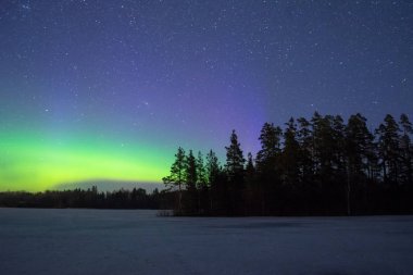 Kutup kuzey ışıkları aurora borealis gece yıldızlı gökyüzü göl ile ada ve orman ufukta silueti ağaçların yukarıda içinde.