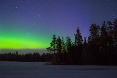Kutup kuzey ışıkları aurora borealis gece yıldızlı gökyüzü göl ile ada ve orman ufukta silueti ağaçların yukarıda içinde.