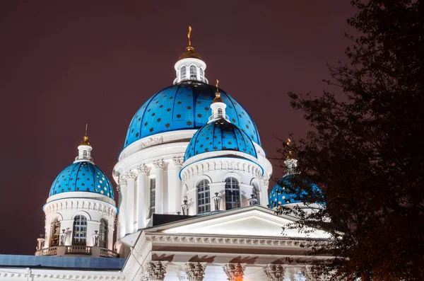 Cúpulas de visión nocturna con estrellas de la catedral de Troitsky en San Petersburgo . — Foto de Stock
