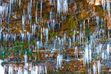 Şelalenin yakınındaki bir ormanda yosunlarla kaplı bir yamaçtaki küçük buz sarkıtları..